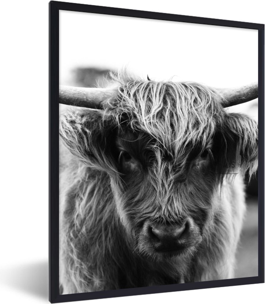 MuchoWow Gerahmtes Poster Schottischer Highlander - Kuh - Gras - Tiere - Natur 60x80 cm - Poster mit Schwarzem Bilderrahmen Wandposter Rahmen Fot...