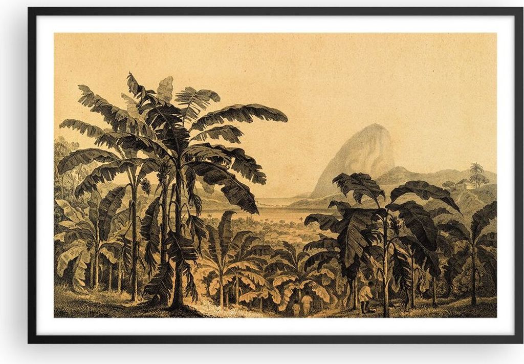 Gerahmtes Poster - Schwarzer Rahmen - Palmen Wald Regnerisch - 91,5x61 cm - Wand Bild - Wanddeko - Wandbilder - Kunstposter - Wandposter - Bilderra...