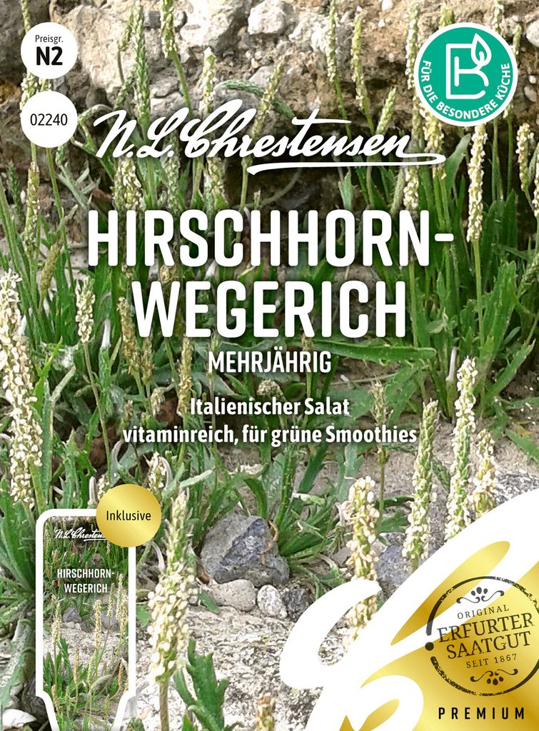Hirschhornwegerich Mehrjährig | Kräutersamen von N.L. Chrestensen