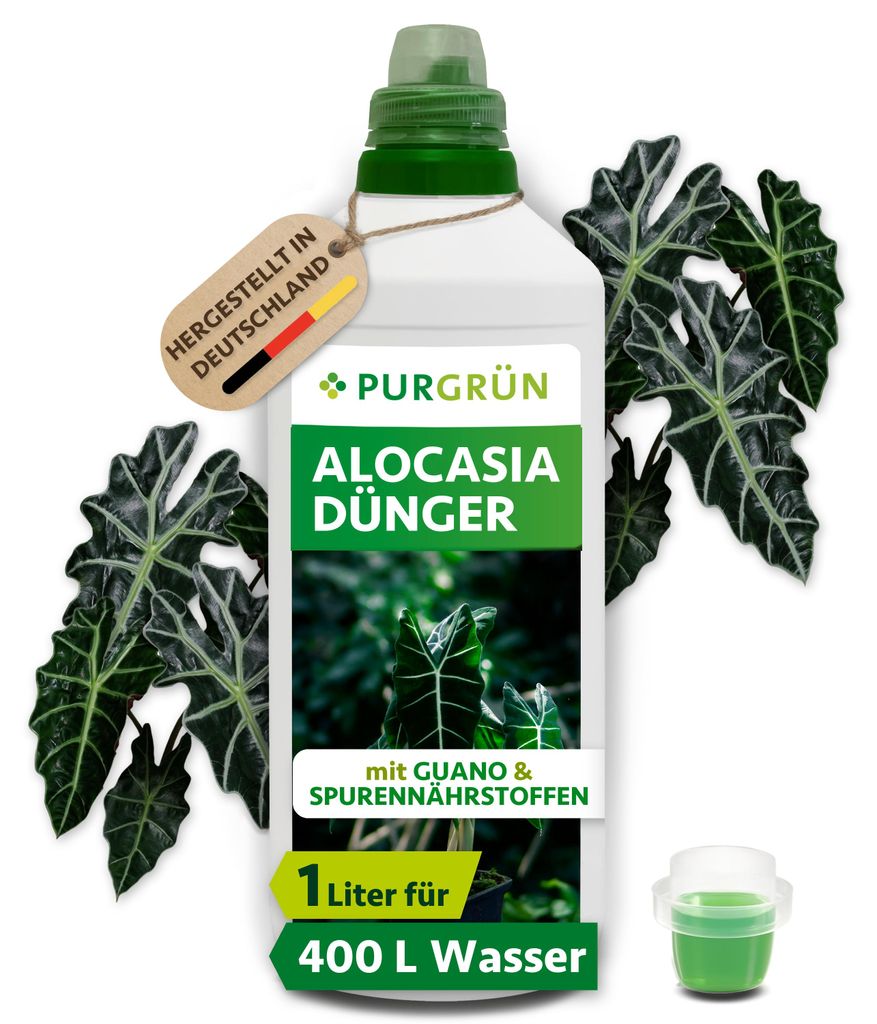 Purgrün Alocasia-Dünger | Flüssigdünger für Alocasien | 1L Produktbild 
