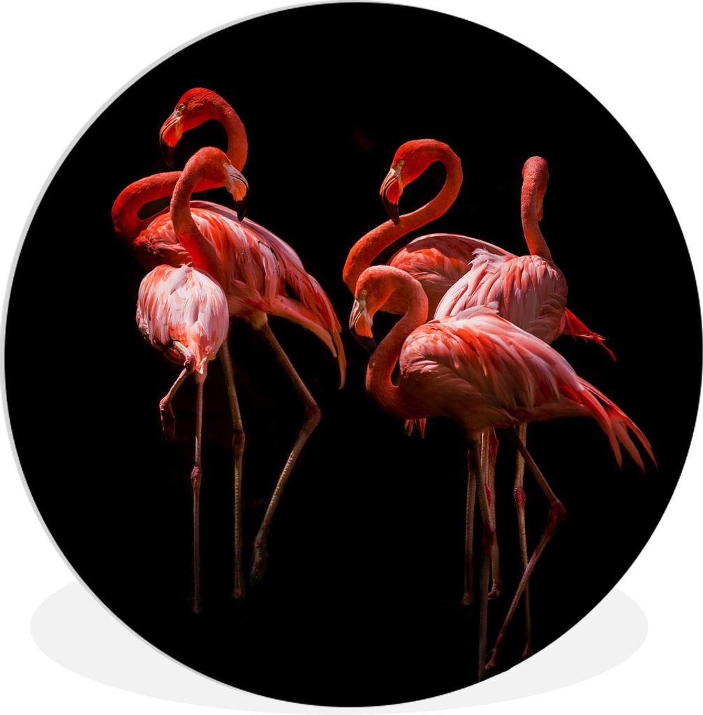 MuchoWow Rundes Wandbild - Runde Bilder Flamingo - Rosa - Schwarz Ø 60 cm Kreis Wanddekoration Kunststoff - Wandkreis - Wandschmuck - Wand Kreis...