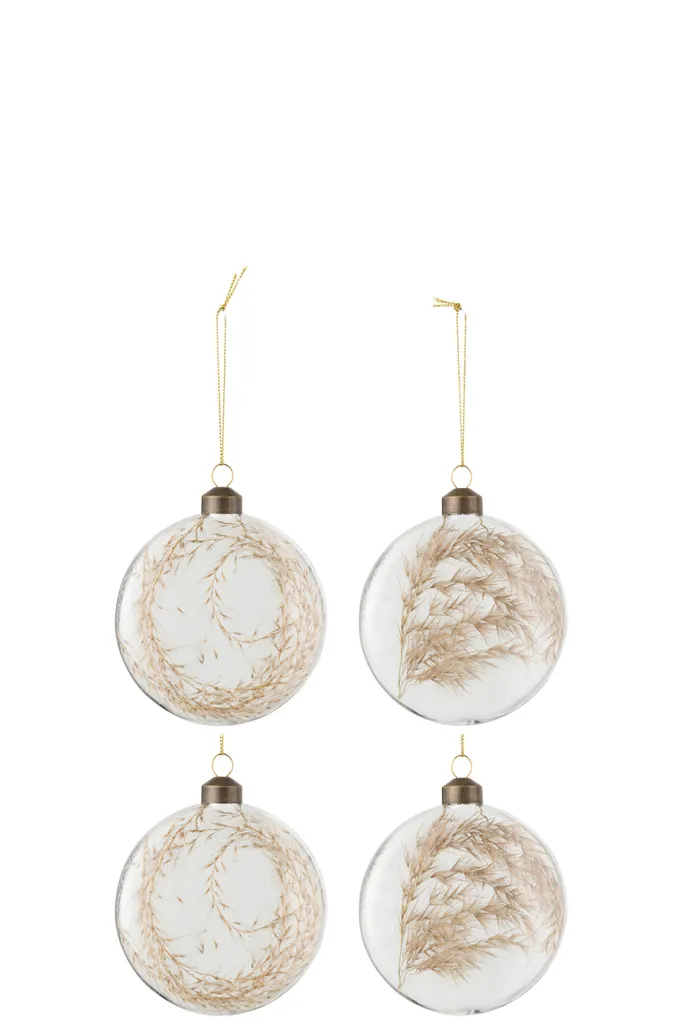 J-Line Boîte de 4 Boules de Noël Plates avec Pampas Séchées en Verre Ø8cm