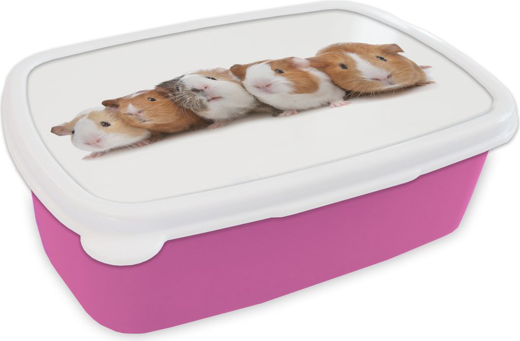 KitchenYeah Lunchbox Brotzeit Brotdose 17x11 cm Fünf Meerschweinchen in einer Reihe Kinder Brotzeitdose - Lunchpaket - Brotkasten - Sandwich Box