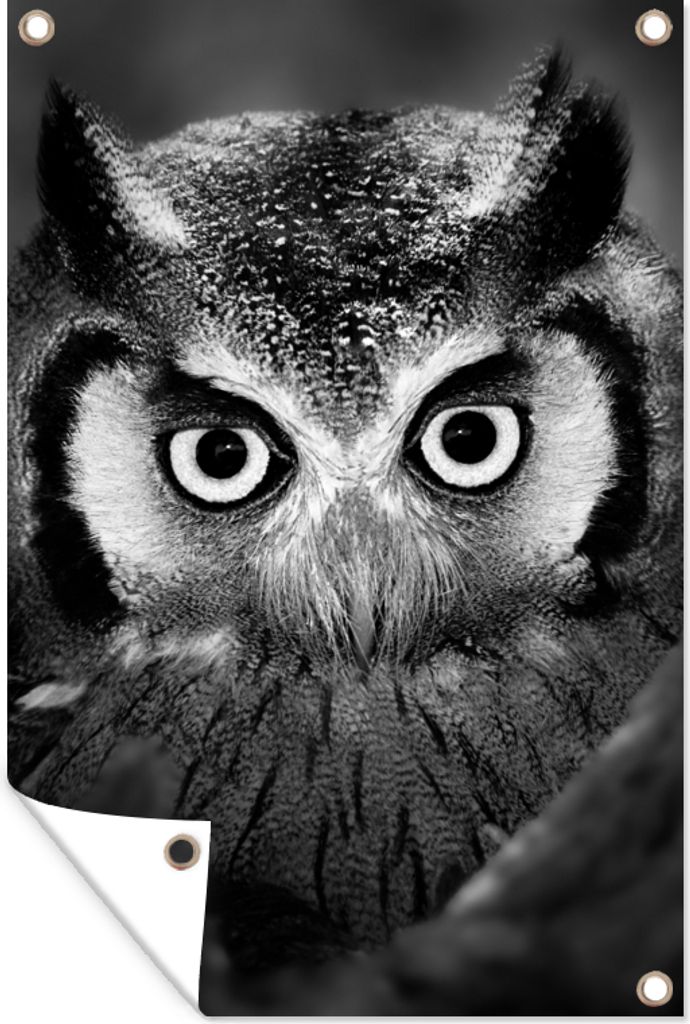 MuchoWow 80x120 cm Outdoor-Poster Gartendeko Sichtschutz Garten Poster für den Garten Vogel - Eule - Porträt - Schwarz - Weiß