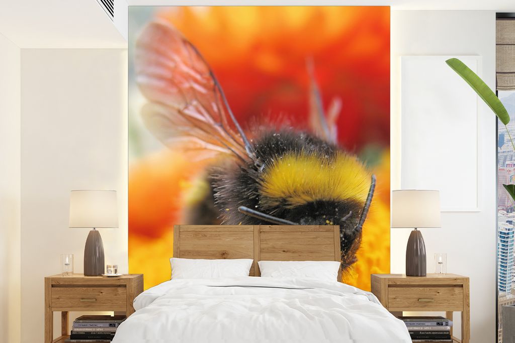 MuchoWow Fototapete für Wohnzimmer oder Schlafzimmer Wandtapete Vinyl Motivtapete Nahaufnahme einer hungrigen Hummel auf einer orangefarbenen Bl...