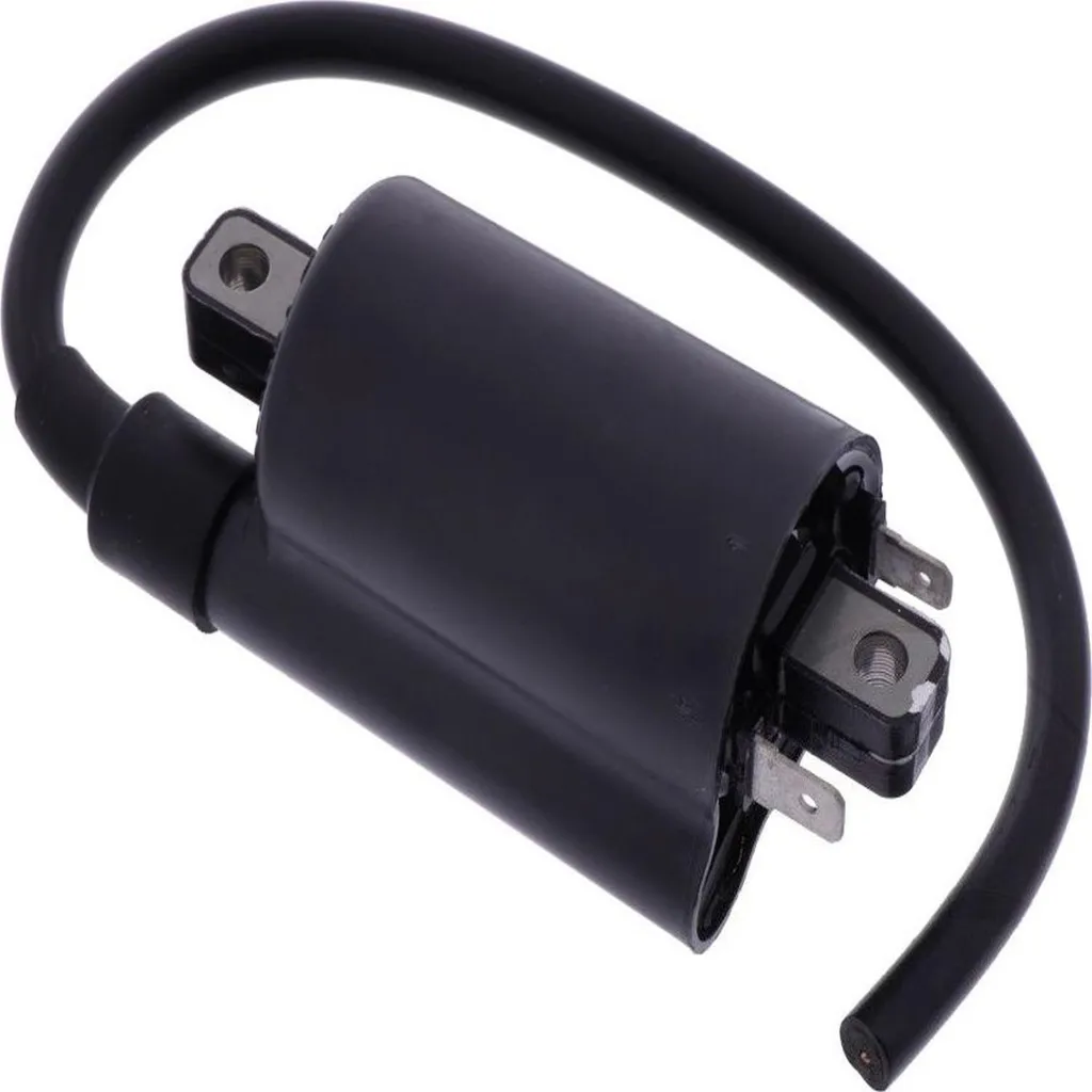 Bobine d'allumage contre les ratés moteur sur Cagiva Raptor 1000