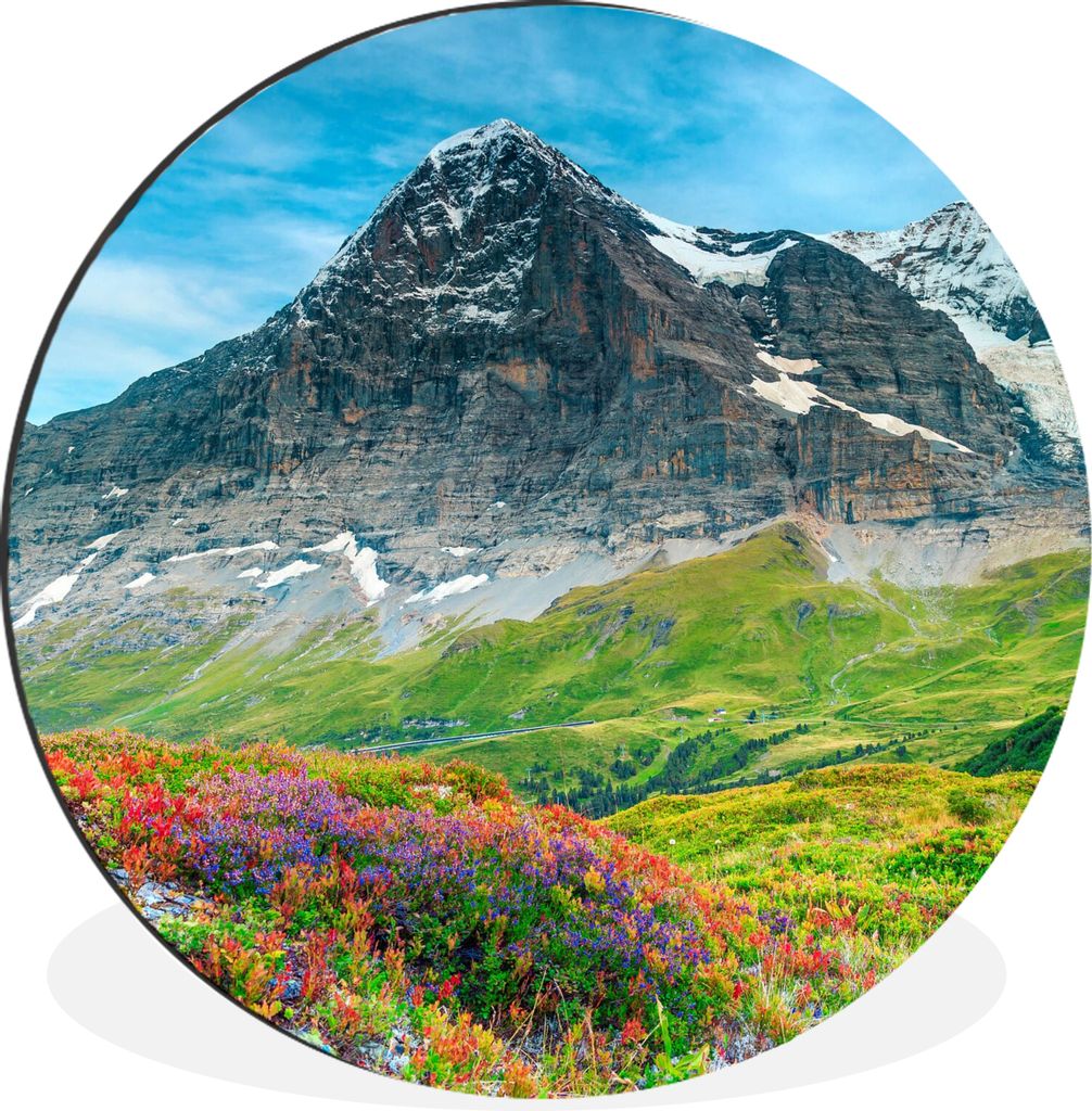MuchoWow Aluminium Wandkreis Blumen - Berge - Schnee - Landschaft Ø 30 cm Wanddeko Modern Wohnzimmer - Wand Bild - Wohnzimmer - Runde Bilder - A...