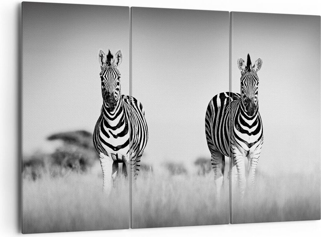 Bild auf Leinwand - Leinwandbild - 3 Teile - Zebras Fotografie Schwarzweiß - 165x110cm - Wand Bild - Wanddeko - Wandbilder - Leinwanddruck - Bilde...