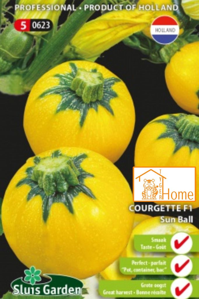 Zucchini Sun Ball F1 | Runde gelbe Zucchini | Kompakte Produktbild 