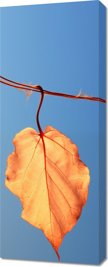 Gemälde 40x100cm Letztes Blatt