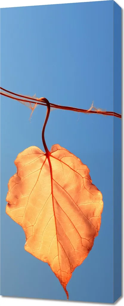 Peinture Dernière feuille 40x100 cm - Tableau sur toile haut de gamme