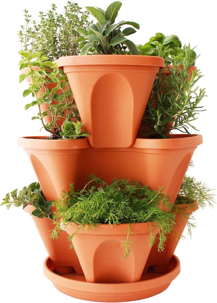 blumenständer eiche massiv Blumenständer aus Eiche naturgeölt – Schweng Shop main image 0