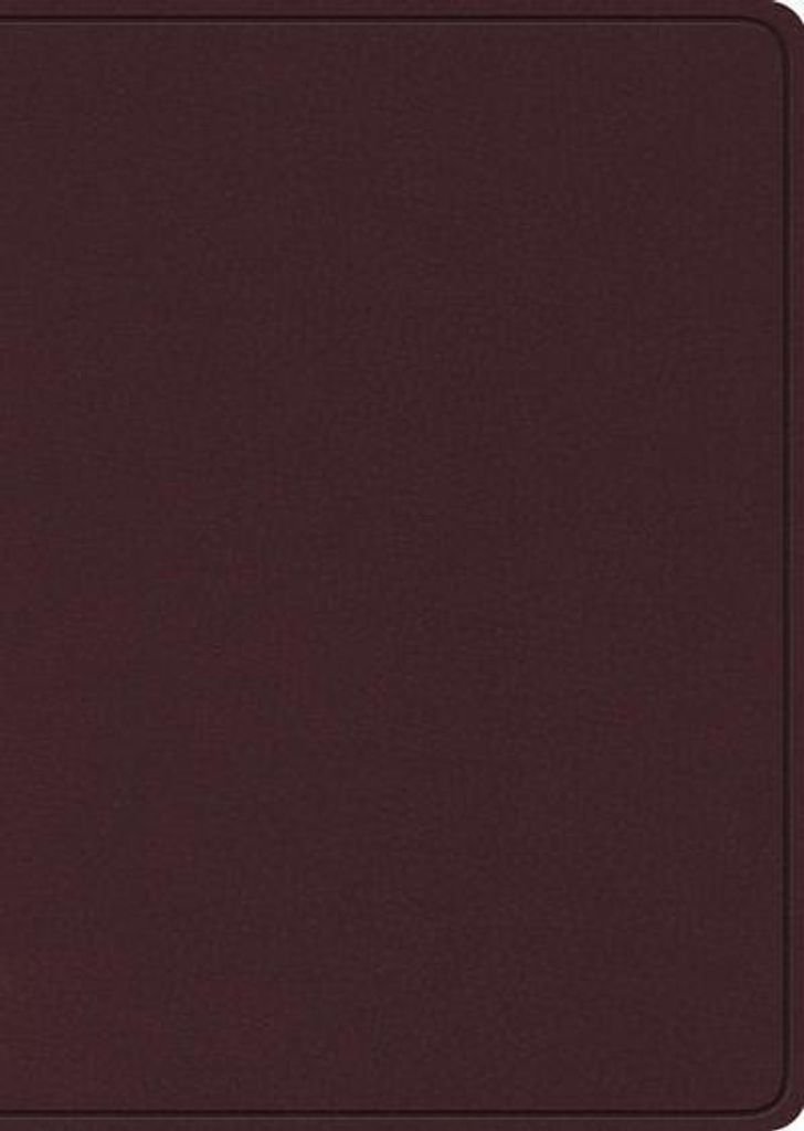 ESV Study Bible, Large Print (Lederfaserstoff, Burgundy)