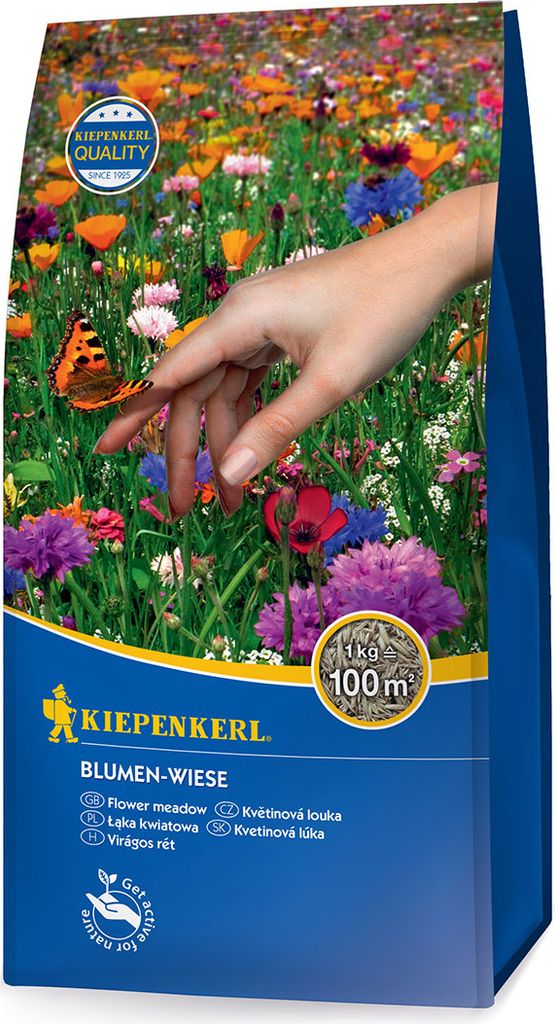 Artikelbild 1 von 'Blumen - Wiese (1 kg)' aus der Kategorie Blumenrasen