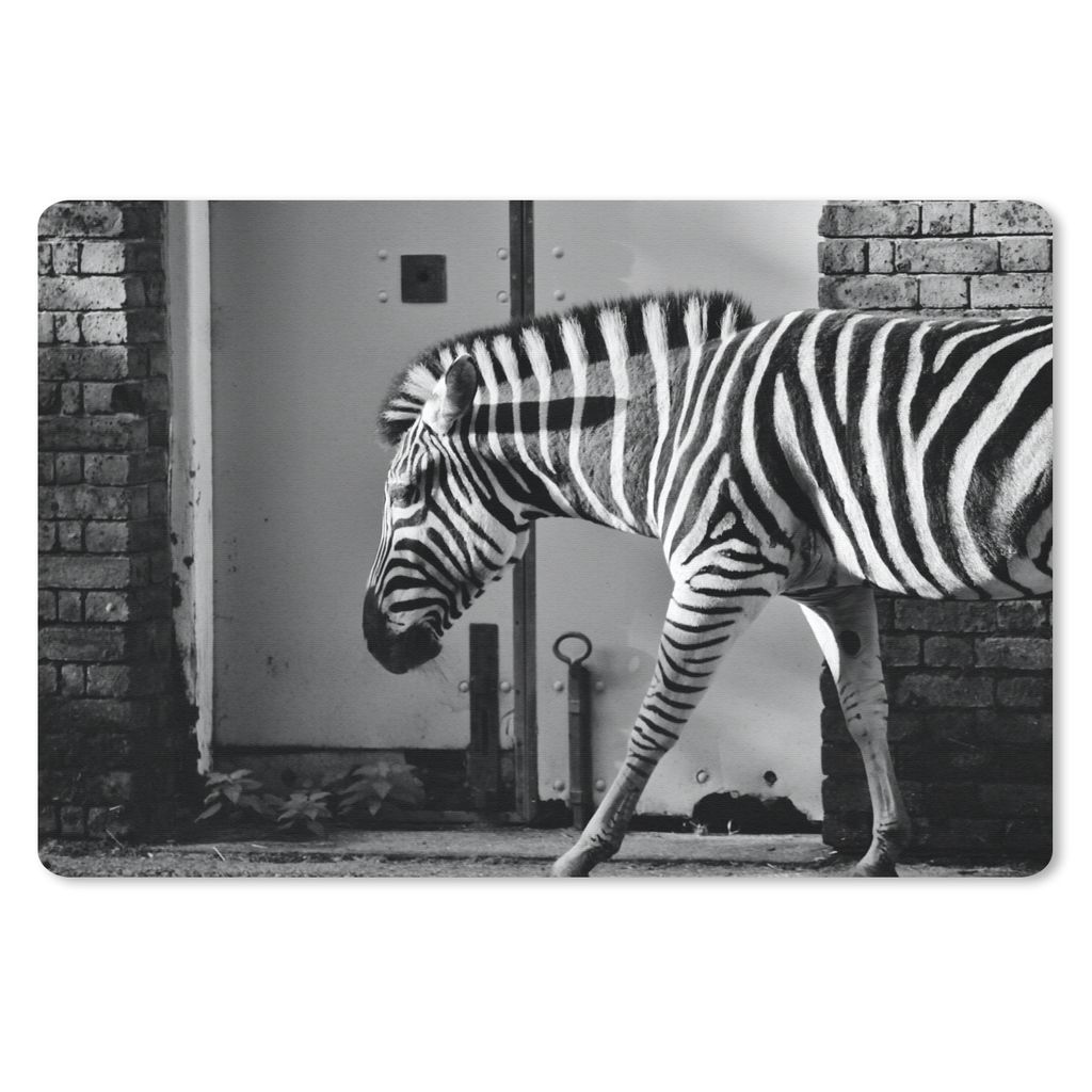 MuchoWow Schreibtischunterlage Zebra - Wand - Tür - Tiere - Schwarz und weiß 60x40 cm - XXL Mauspad - Großes Mauspad