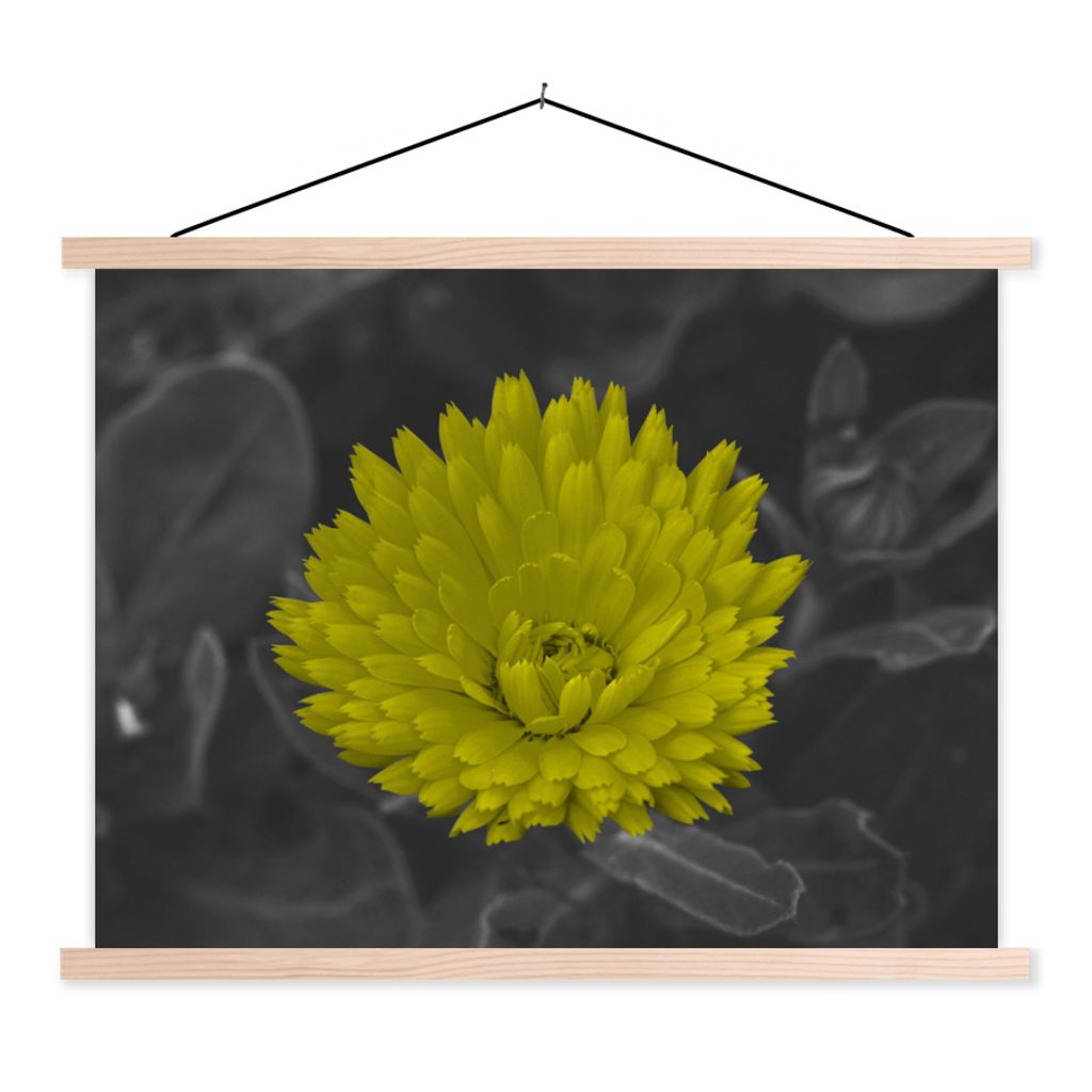 MuchoWow Textilposter Blumen - Aquarell - Löwenzahn 120x90 cm mit holzfarbenen Rahmen - Magnetisch