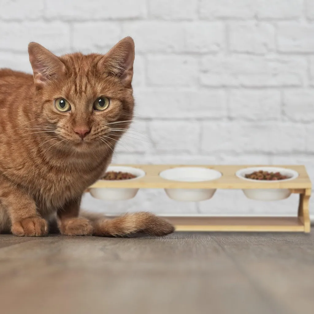 Station d'alimentation chats 3 gamelles anti-renversement pour sol propre