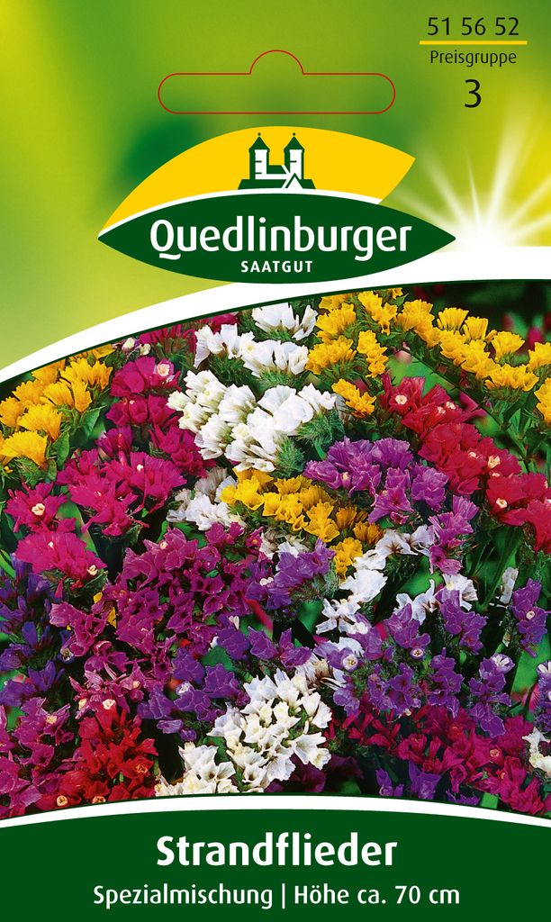 Strandflieder, Spezialmischung Produktbild 