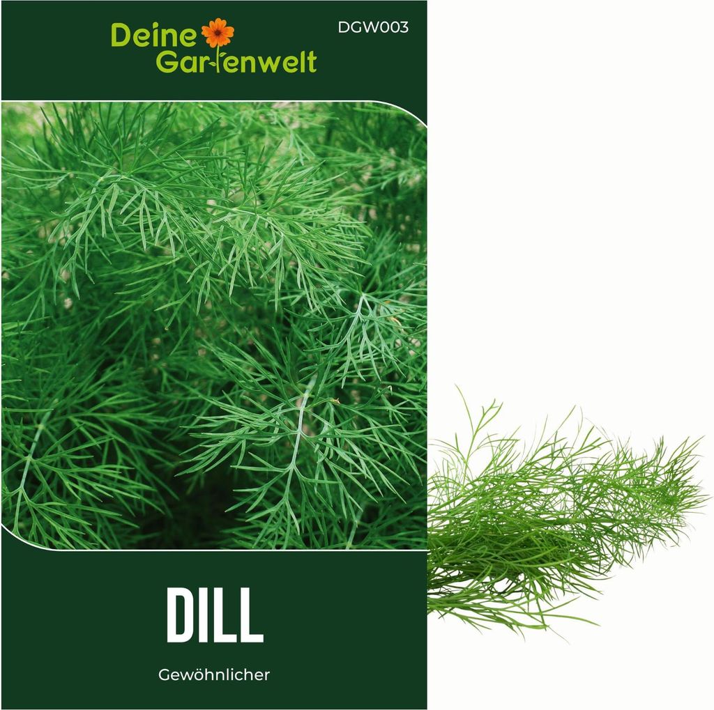 Dill Gewöhnlicher Samen - Anethum graveolens - Dillsamen - Kräutersamen - Saatgut für 150 Pflanzen