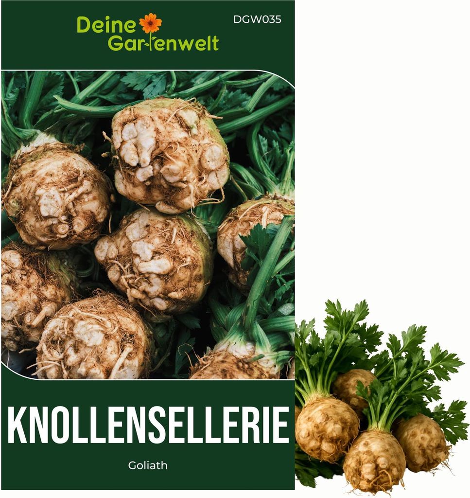 Knollensellerie Goliath Samen - Apium graveolens - Selleriesamen - Gemüsesamen - Saatgut für 50 Pflanzen