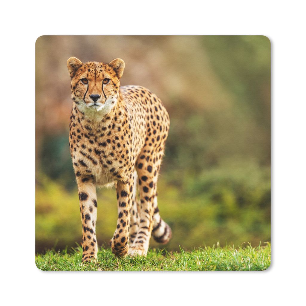 MuchoWow Mauspad Mousepad Wildtiere - Gras - Leopard - Natur 30x30 cm - Mousepads - Maus Mat - Pad - Mausunterlage - Gaming