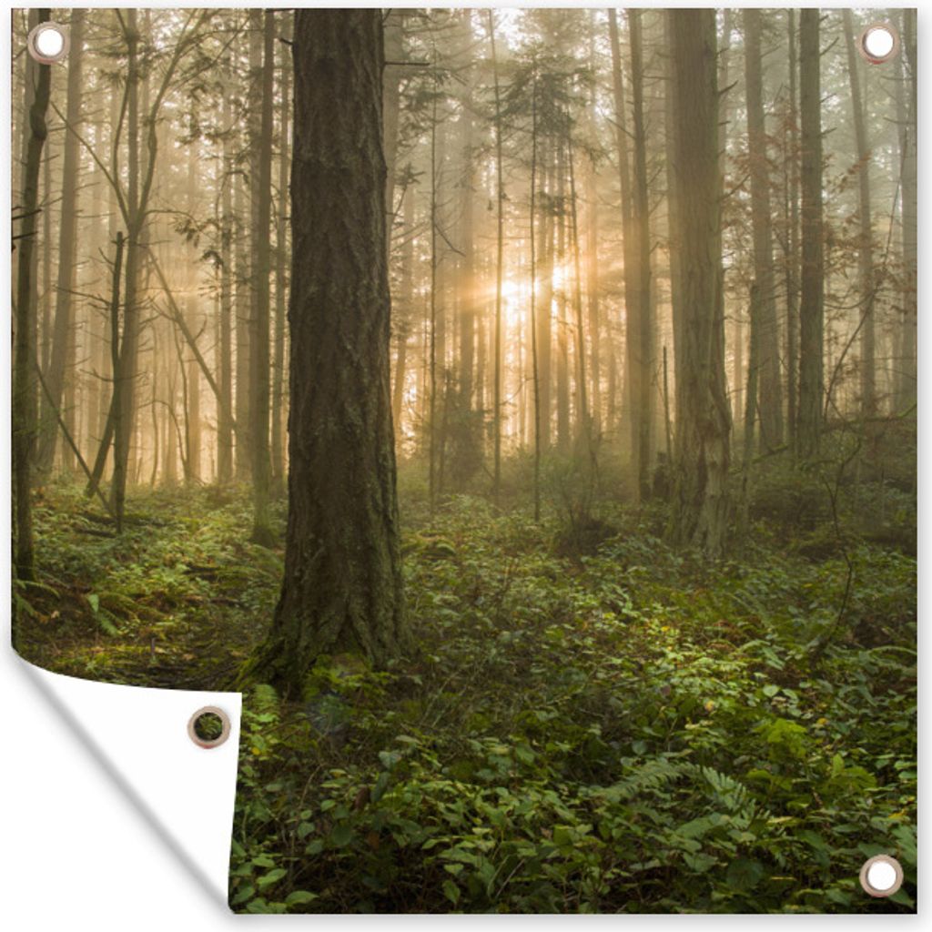 MuchoWow 100x100 cm Outdoor-Poster Gartendeko Sichtschutz Garten Poster für den Garten Wald - Sonne - Licht