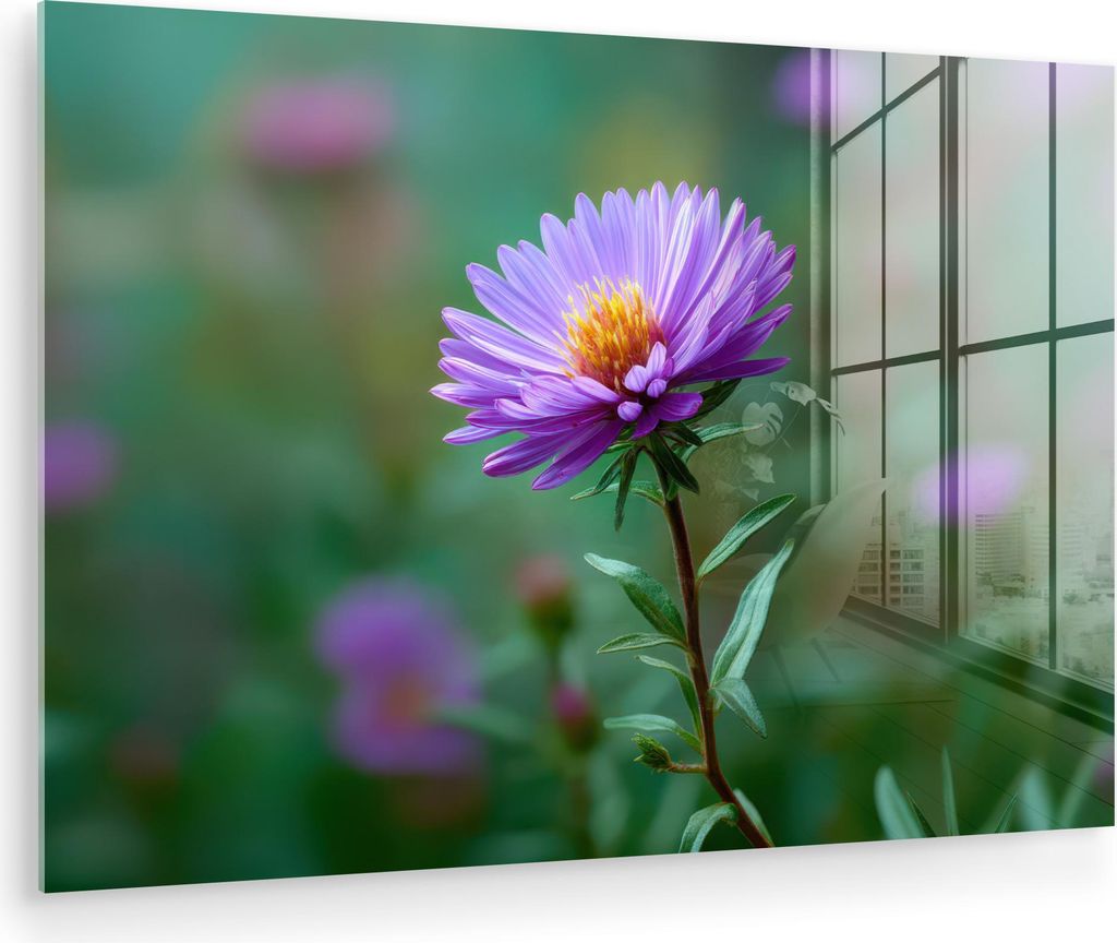 MuchoWow Glasbilder - Bilder auf Wandbild - Foto auf Glas Aster - Lila - Blume - Blütenblätter 90x60 cm Wanddekoration aus Glas - Acrylglasbild -...