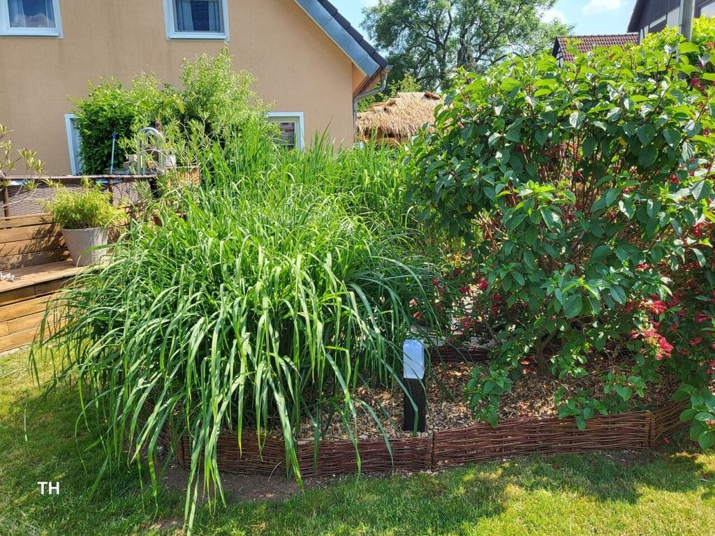 Beeteinfassung Weide - Steckzaun aus verflochtenen Produktbild 2