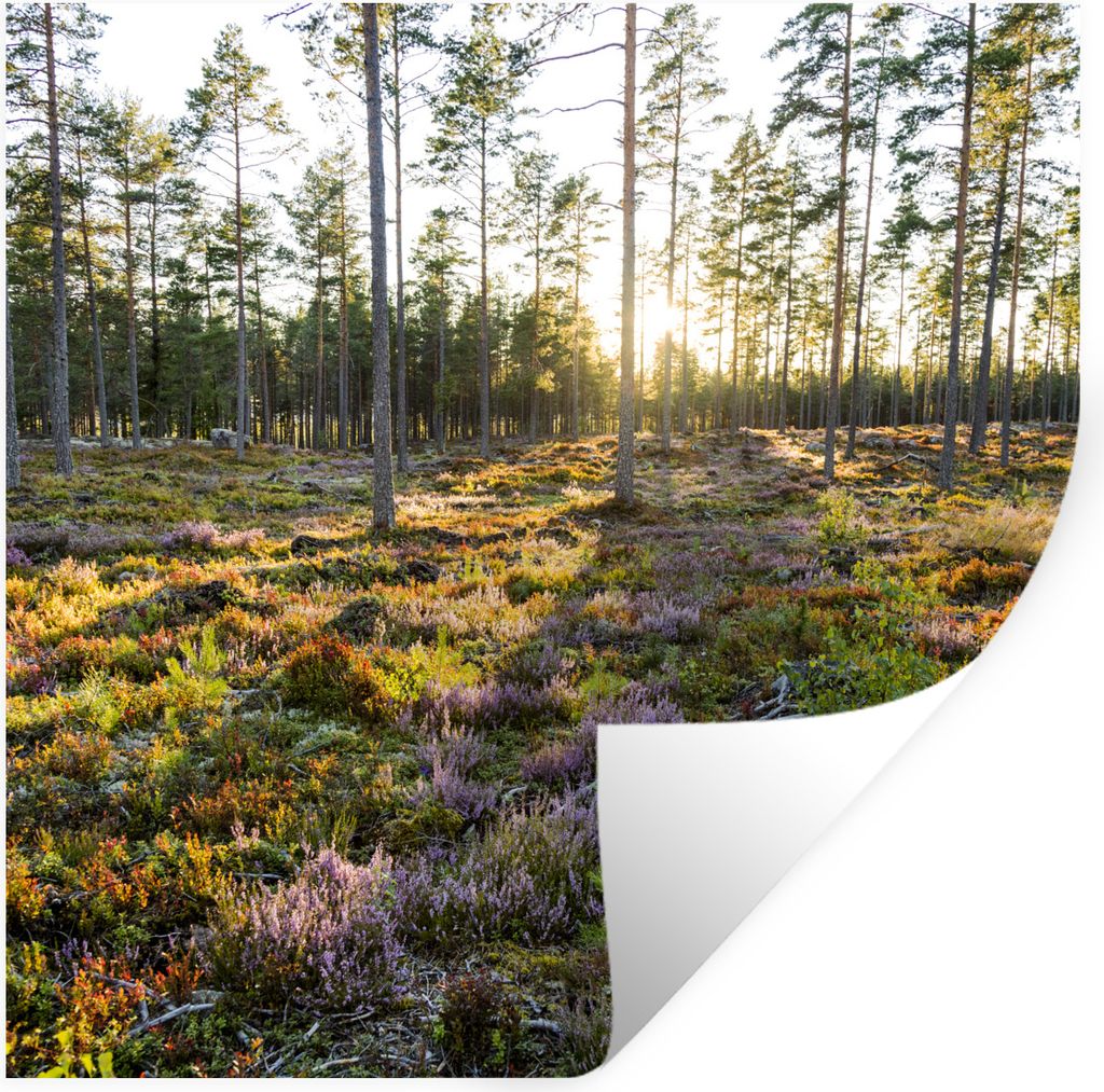 MuchoWow Wandtattoo Wandsticker Wandaufkleber Bäume in einer Heidelandschaft 30x30 cm Selbstklebend und Repositionierbar - Repositionierbar - Wa...