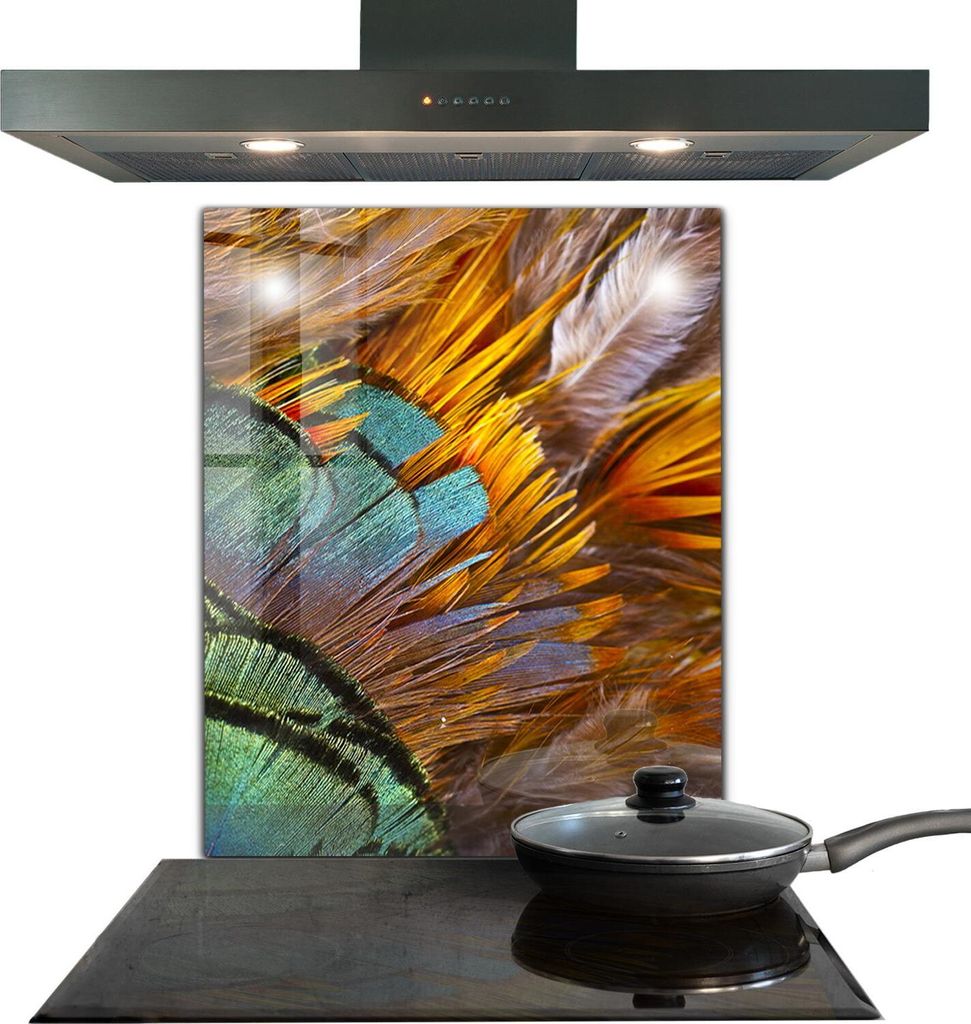 Spritzschutz aus Glas Küchenrückwand - Wandschutz für Herd und Spüle - 60x80 cm - Hahn Exotische Federn