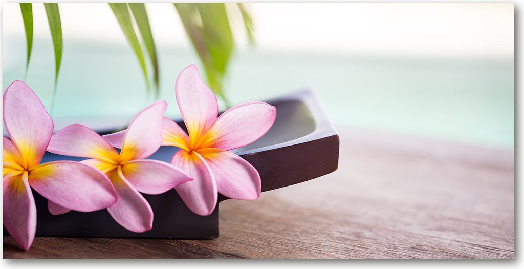 Tulup Leinwandbild -100x50 cm - Wandkunst - Drucke auf Leinwand - Leinwanddruck - Blumen & Pflanzen - Rosa - Plumeria
