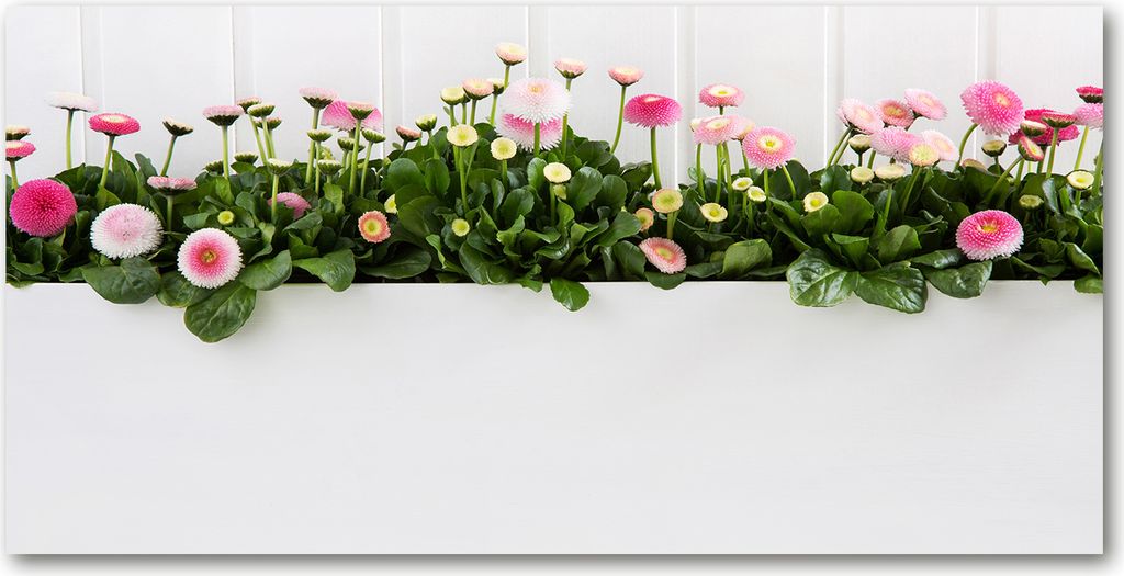 Tulup Glas-Bild -140x70- Wandkunst Dekorative Wand für Küche & Wohnzimmer - Blumen & Pflanzen - Rosa Gänseblümchen - Mehrfarbig