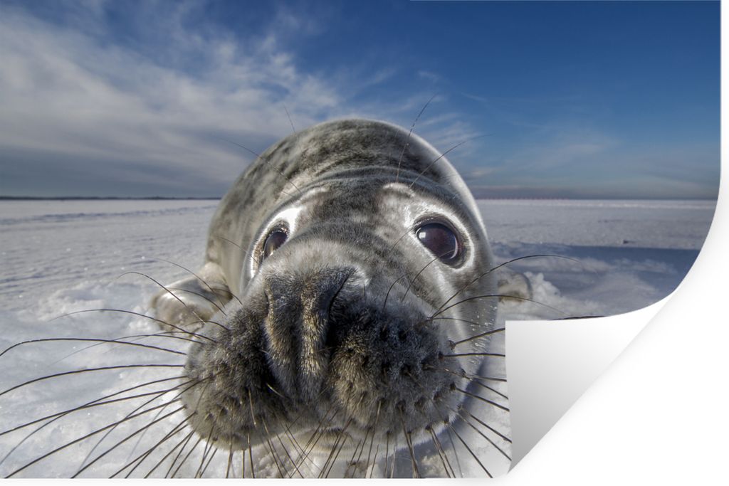 MuchoWow - Selbstklebend - Fototapeten