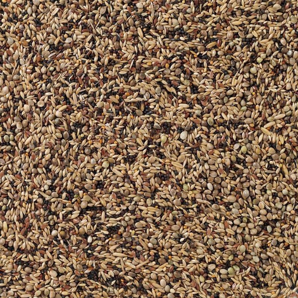 DELI NATURE Waldvögel Basis Vogelfutter 20kg
