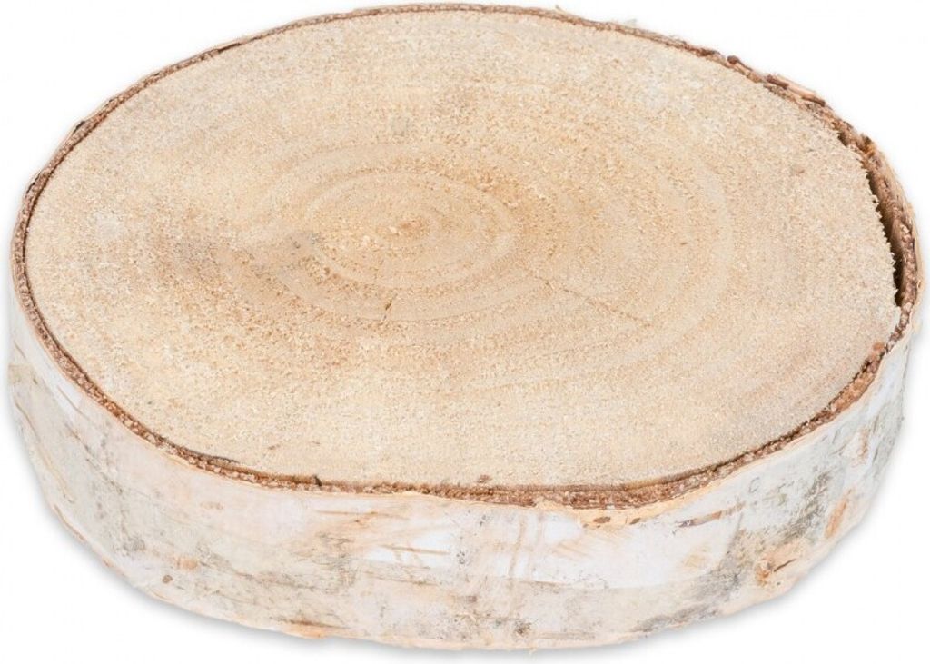 Birkenscheibe Ø10-15cm x 2cm