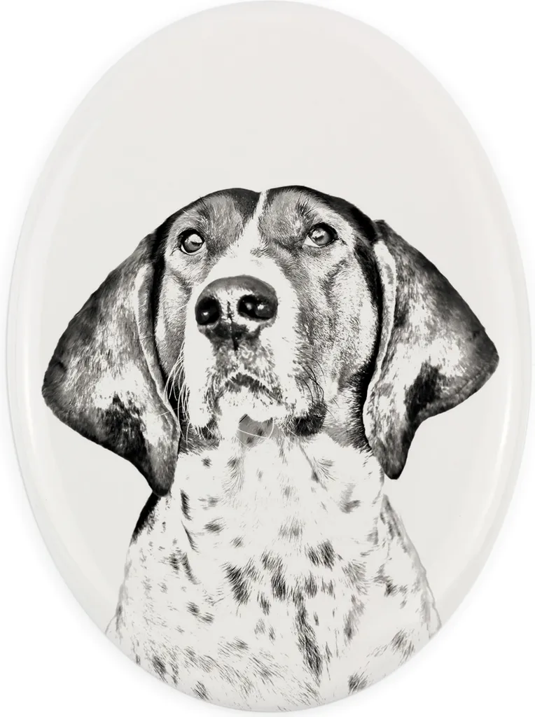 Lapide Treeing Walker Coonhound Art-Dog: Targa Ovale per Esterno/Interno
