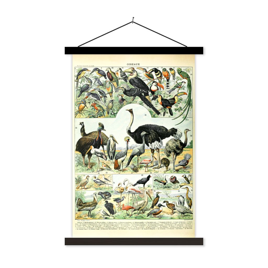 MuchoWow Textilposter Tiere - Vögel - Design 60x90 cm mit schwarzem Rahmen - Poster Wohnzimmer