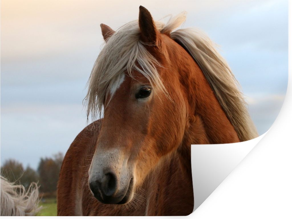 MuchoWow - Faltenfrei