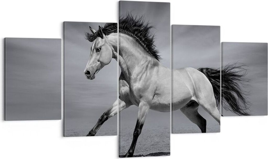 Bild auf Leinwand - Leinwandbild - Pferd Tier Natur - Produktbild 