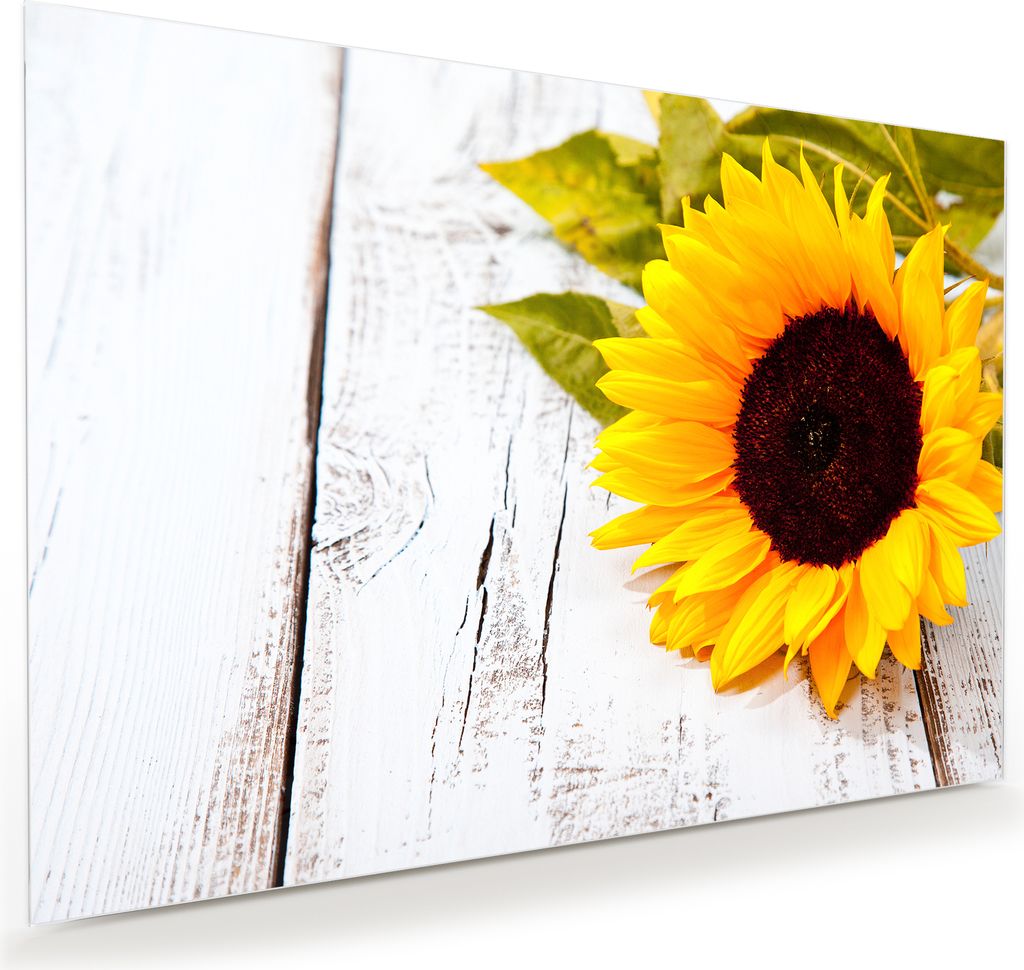 Glasbild Wandbild Sonnenblume auf Holztisch 100x70cm in XXL für Wohnzimmer, Schlafzimmer, Badezimmer, Flur