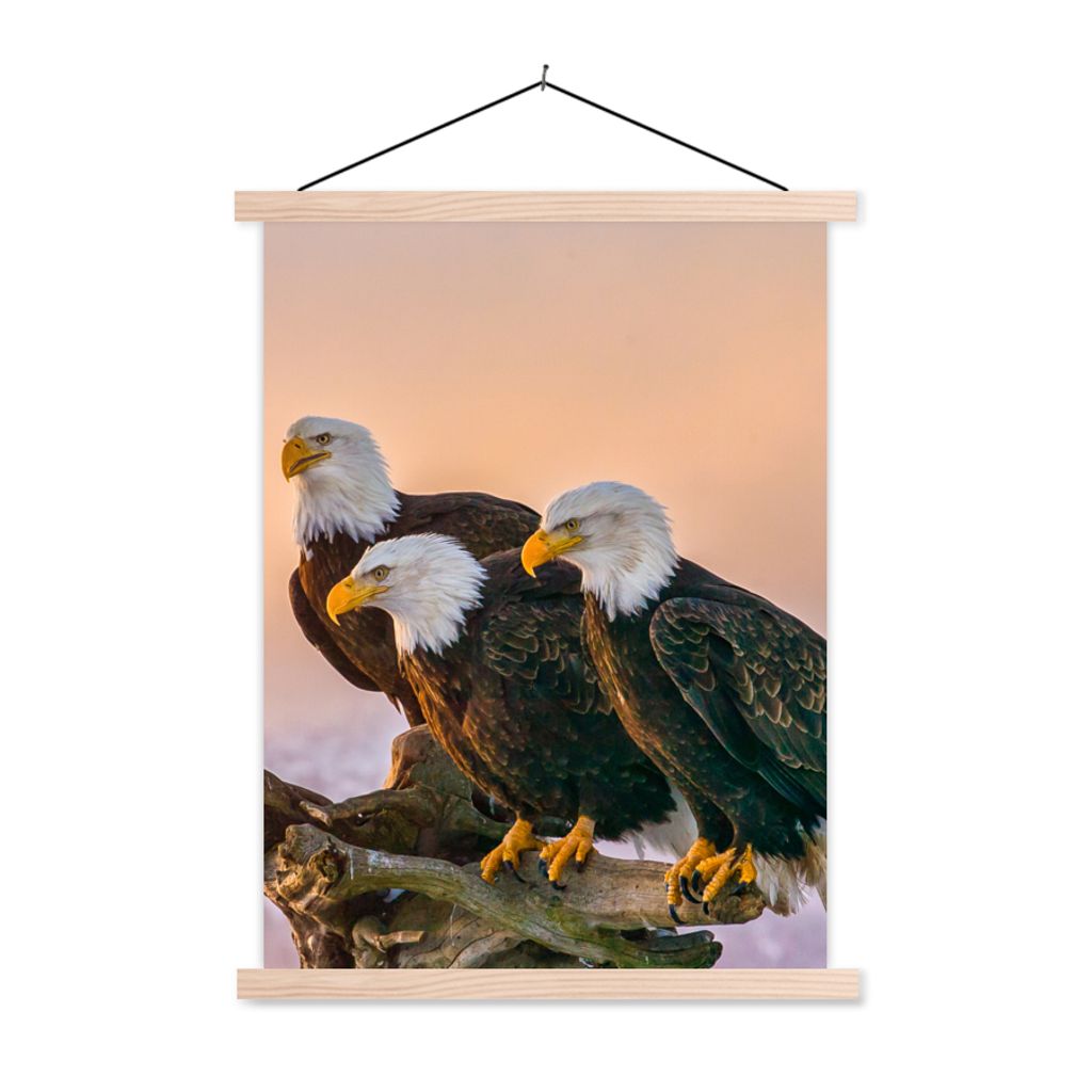 MuchoWow Textilposter Vögel - Natur - Raubvögel - Adler 40x53 cm mit holzfarbenen Rahmen - Schlafzimmer