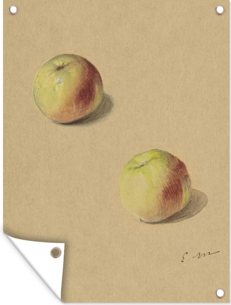 MuchoWow 60x80 cm Outdoor-Poster Gartendeko Sichtschutz Garten Poster für den Garten Zwei Äpfel - Edouard Manet