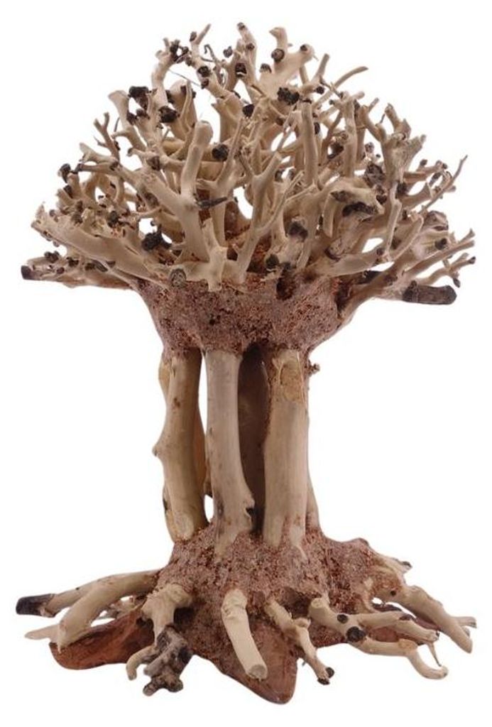 Bonsai Mammut Baum M 10x10x15 cm Wurzel Holz Aquarium Deko Aquascaping