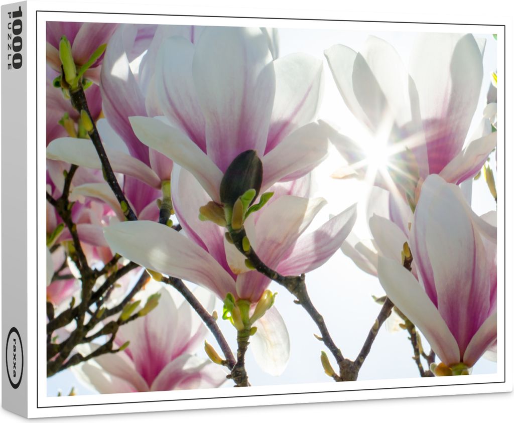 raxxa Premium-Puzzle "Magnolien", 1000 Teile