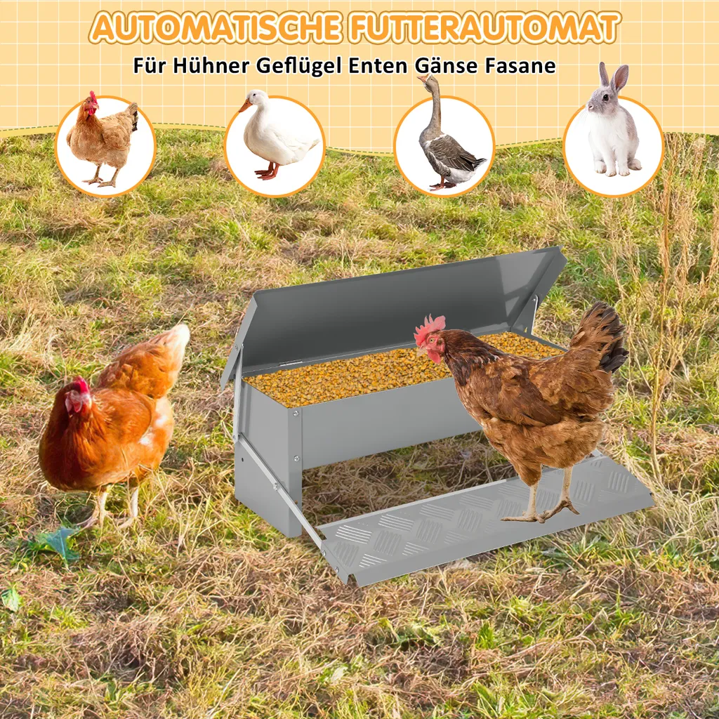Mangiatoia Automatica Galline Aopunly 5KG - Acciaio Zincato Professionale - 4