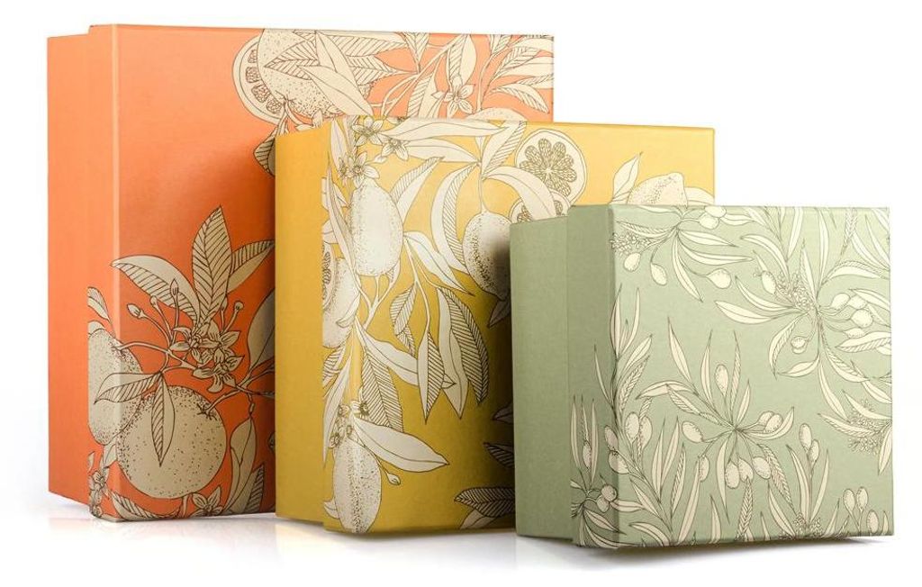 Clairefontaine Jardin S Schachteln 3er Set, ineinander schachtelbar, bis 25x25x12 cm, mediterranes Design