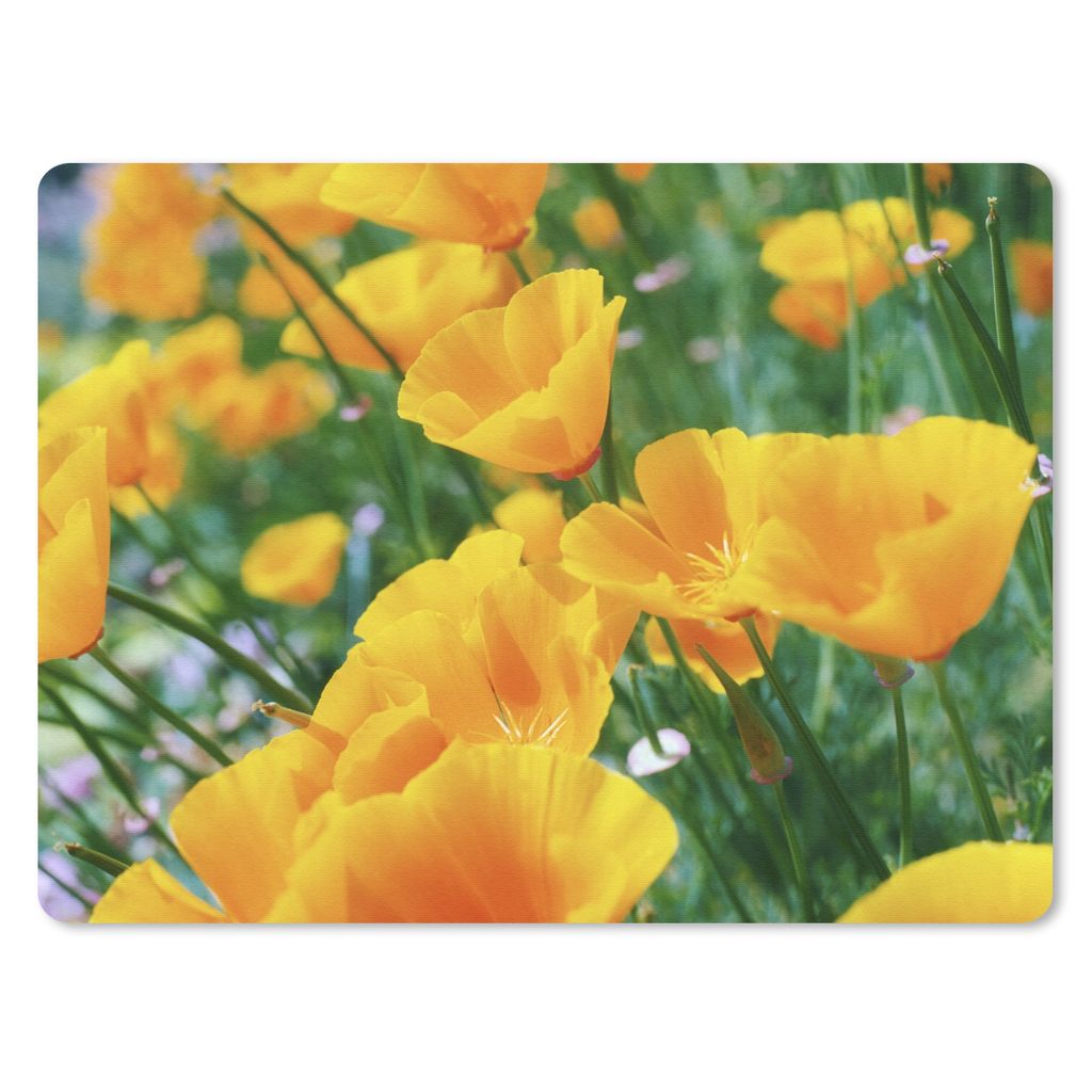 MuchoWow Mauspad Mousepad Blumen - Garten - Orange 40x30 cm - Mousepads - Maus Mat - Pad - Mausunterlage - Anti Rutsch