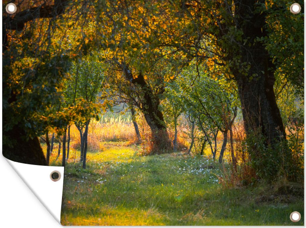 MuchoWow 40x30 cm Outdoor-Poster Gartendeko Sichtschutz Garten Poster für den Garten Grüne Landschaft im Sommer in Rumänien