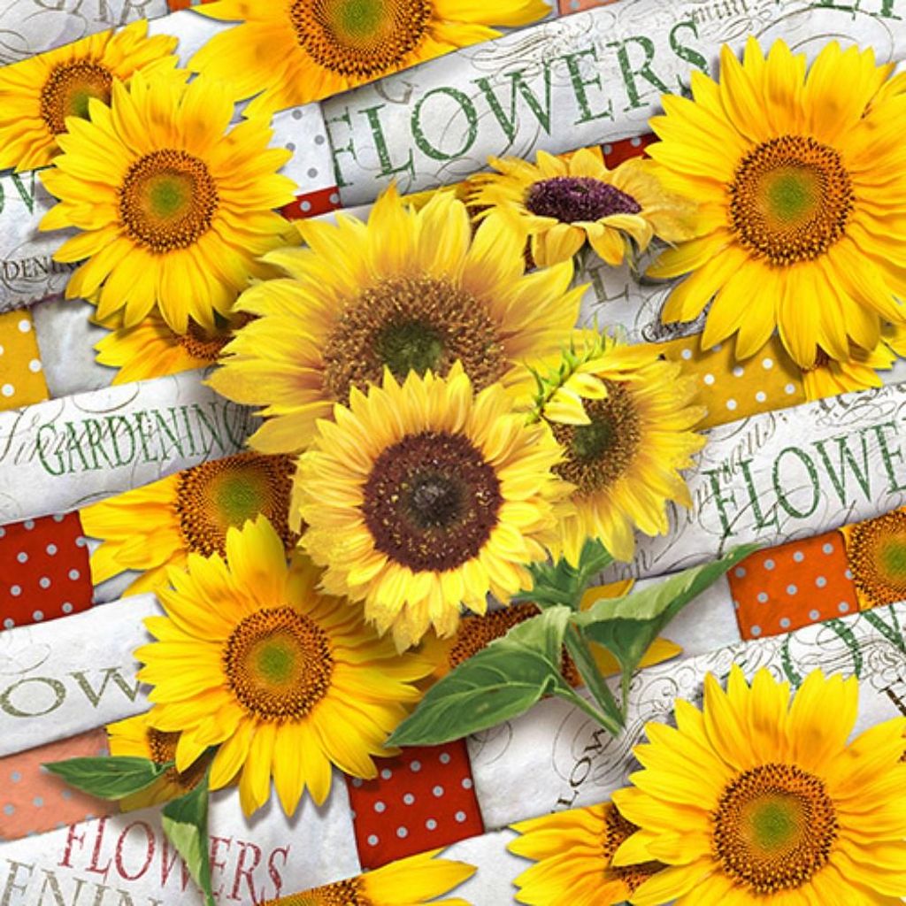PAPSTAR Servietten 1/4-Falz, 33x33 cm, "Sunflower Field" | Folie (20 Stück)