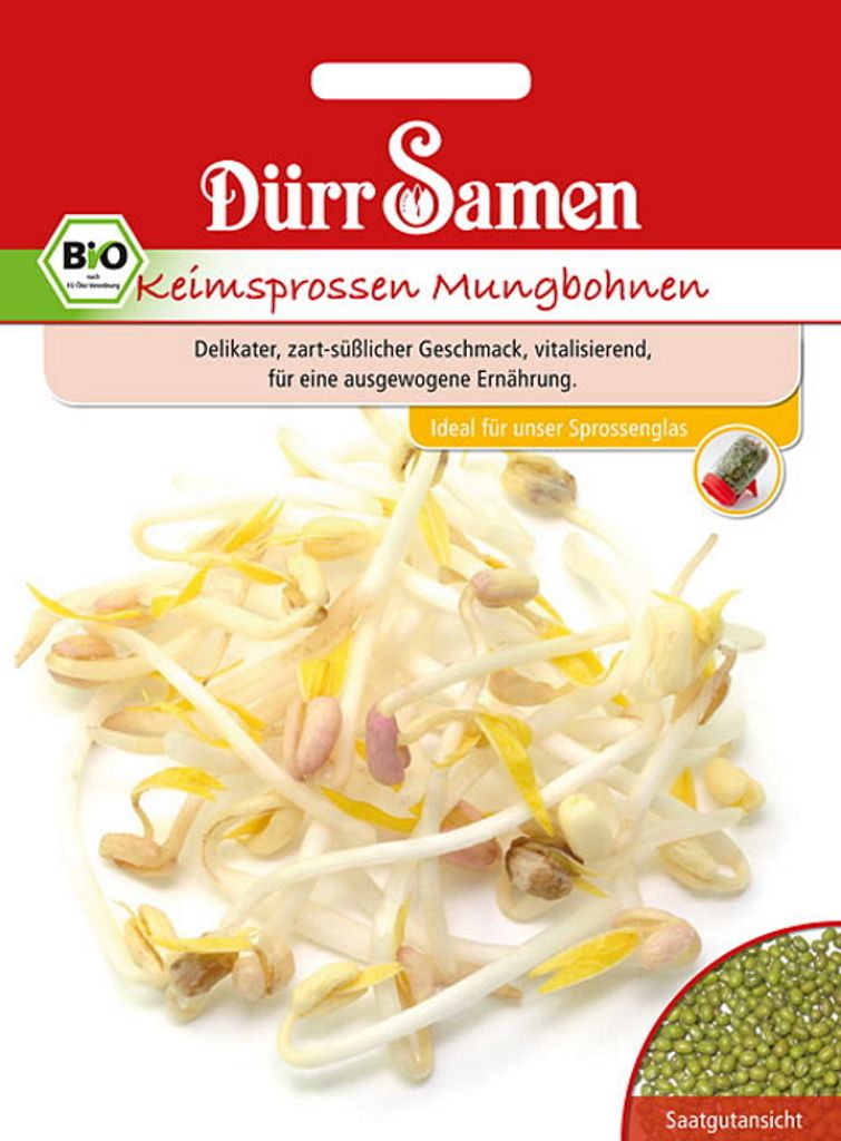 Keimsprossen Mungbohne | -Keimsprossen von Dürr Samen Produktbild 